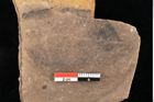 Foto (Detailsansicht) von Quercus palaeoilex Ettingshausen (NHMW-GEO-2024-0188-0945)